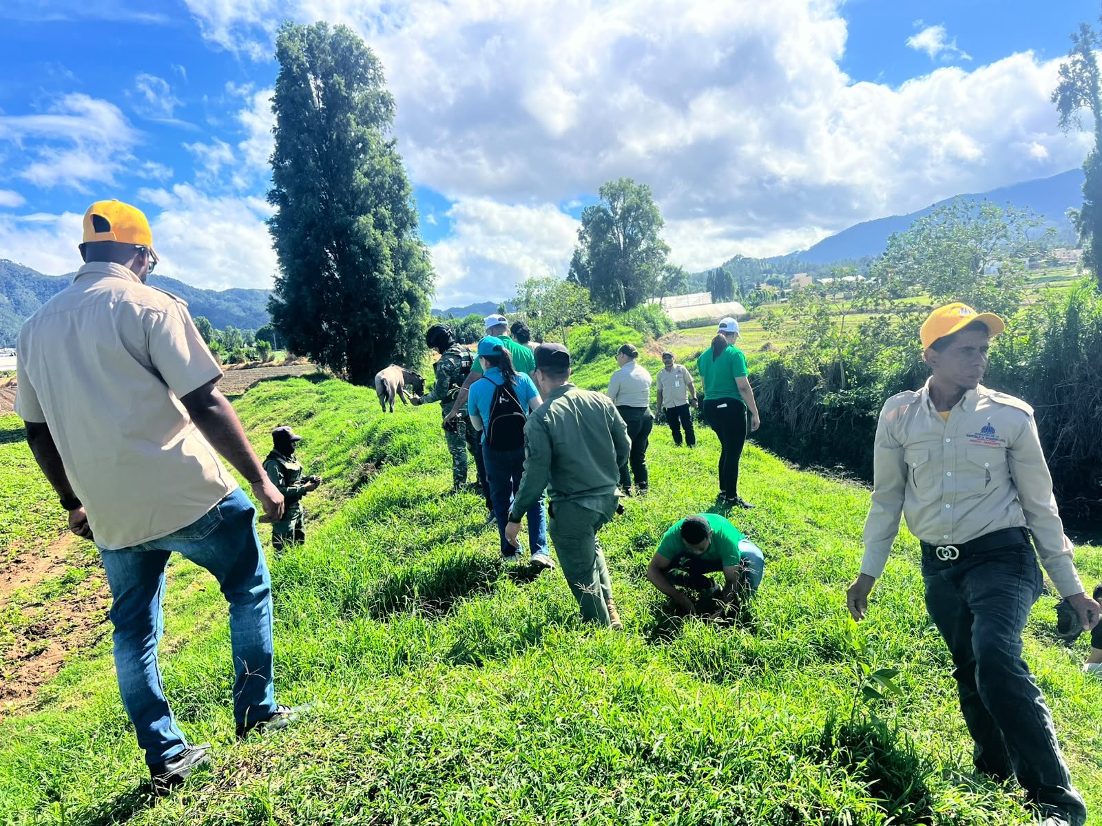 Jornada del Mes de la Reforestación en República Dominicana