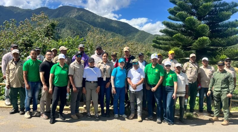 Jornada del Mes de la Reforestación con árboles nativos en República Dominicana